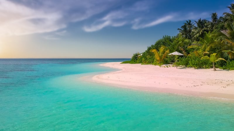 Pixie Paradises