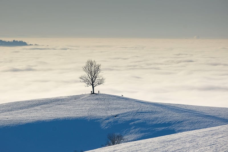 Fantasy Landscape